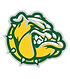 Cecilia High School Football